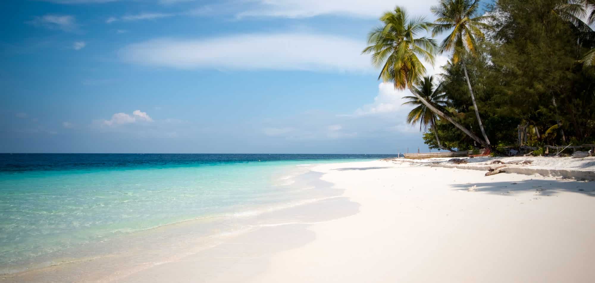 Untouched white sand beach with a palm tree by the turquoise sea in Raja Ampat, a yacht charter destination