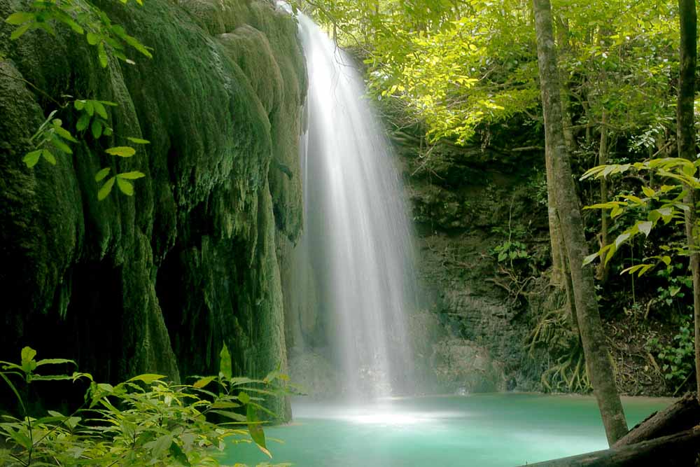 Long exposure shot of a waterfall among green trees
