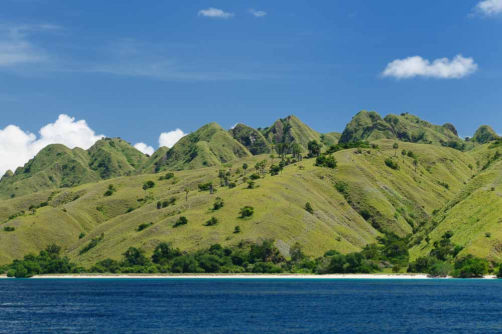 View on blue waters and idyllic green hills of the Komodo Island