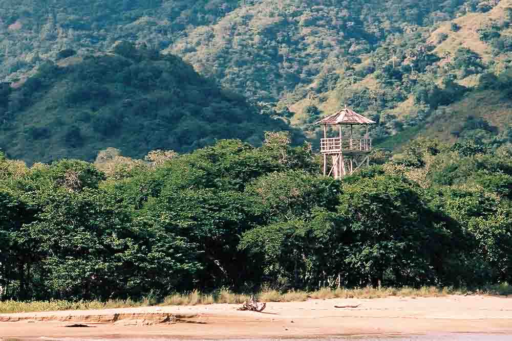 Komodo Island's shore with an observation tower rising above the trees in Komodo National Park