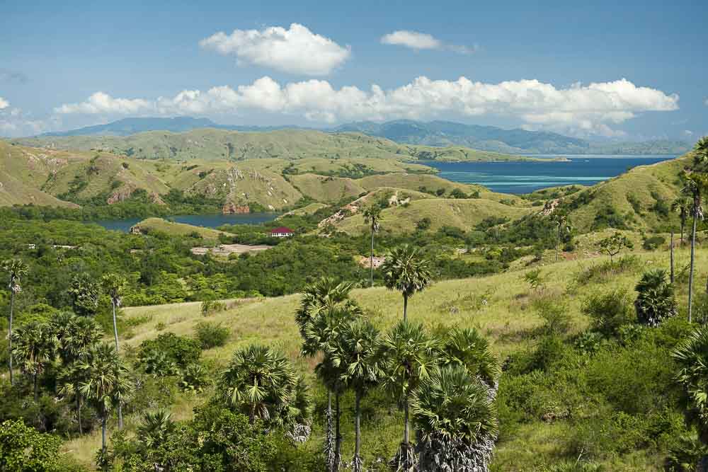 View on Rinca's green hills and blue waters surrounding it on a sunny day