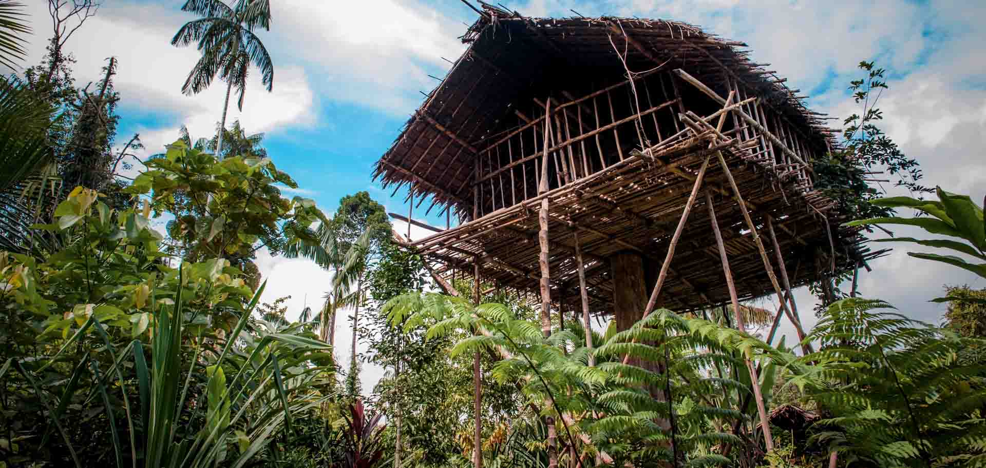An ancient tribe wooden tree top house in the jungle of West Papua